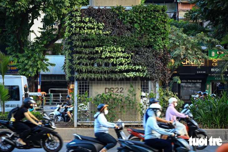Hình ảnh trụ đường sắt đô thị, hầm chui ở Hà Nội được phủ cây xanh, thêm mảng xanh cho thành phố