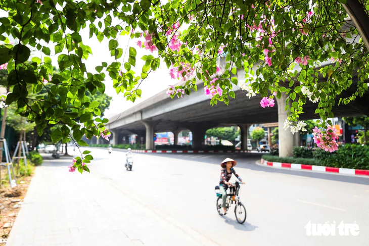 Hình ảnh trụ đường sắt đô thị, hầm chui ở Hà Nội bắt đầu được phủ xanh - Ảnh 14.