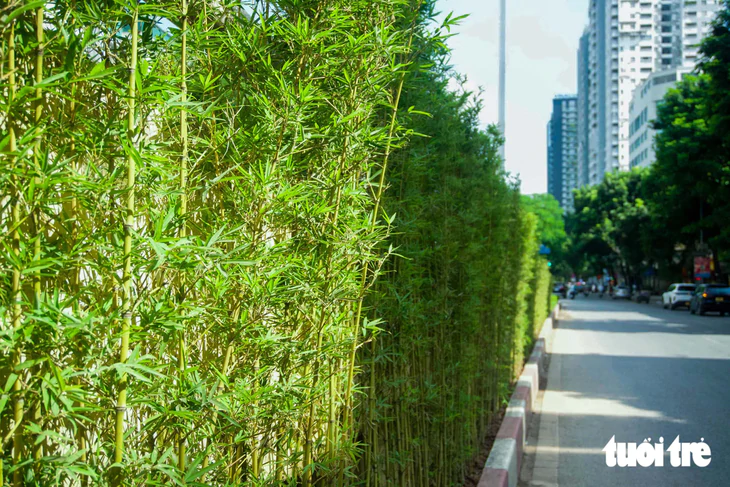 Hình ảnh trụ đường sắt đô thị, hầm chui ở Hà Nội bắt đầu được phủ xanh - Ảnh 5.